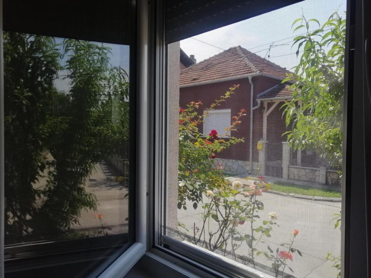 Apartman Nana Jagodina Buitenkant foto