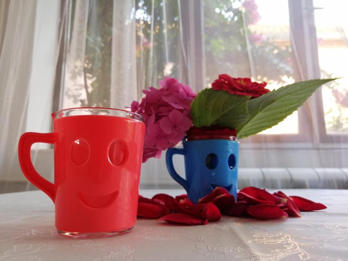 Apartman Nana Jagodina Buitenkant foto