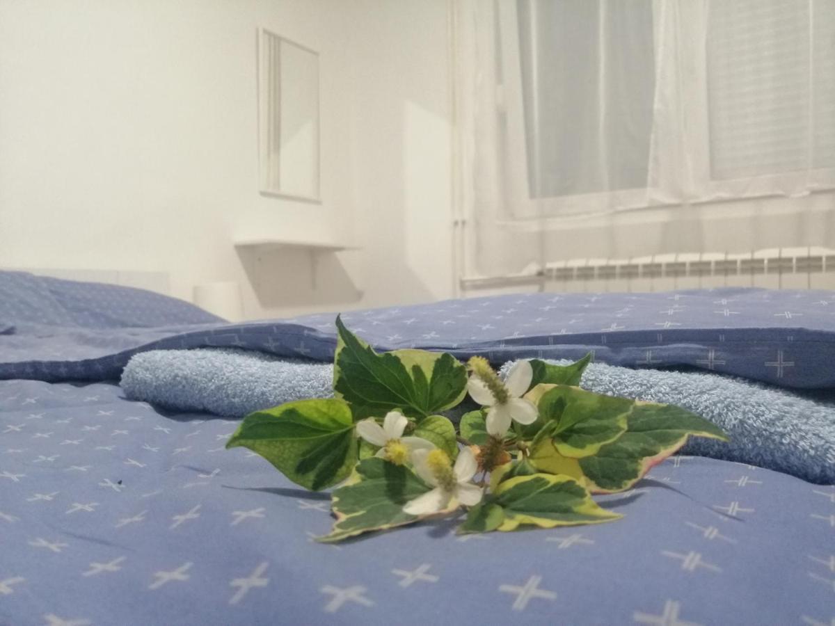 Apartman Nana Jagodina Buitenkant foto